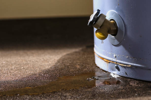 Best Local water damage restoration  in Brodheadsville, PA