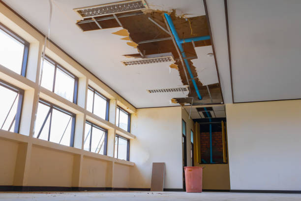 Best Ceiling water damage repair  in Brodheadsville, PA