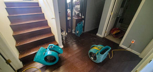 Best Water damage contractors near me  in Brodheadsville, PA